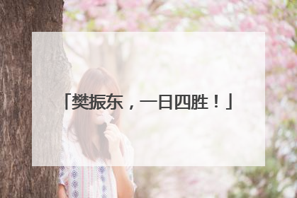 樊振东，一日四胜！