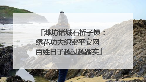 潍坊诸城石桥子镇：绣花功夫织密平安网 百姓日子越过越踏实