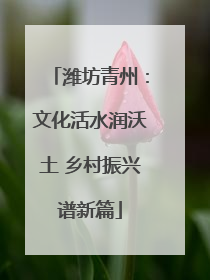 潍坊青州：文化活水润沃土 乡村振兴谱新篇