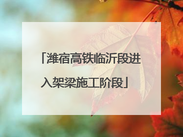 潍宿高铁临沂段进入架梁施工阶段