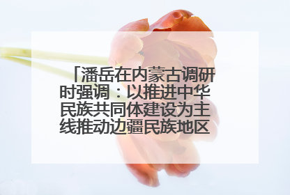 潘岳在内蒙古调研时强调：以推进中华民族共同体建设为主线推动边疆民族地区高质量发展