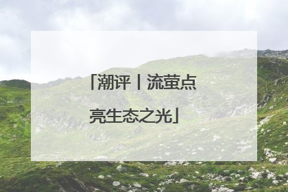 潮评丨流萤点亮生态之光