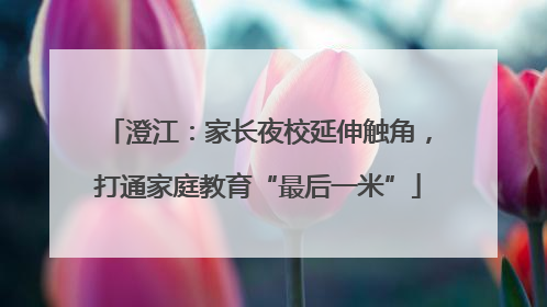澄江：家长夜校延伸触角，打通家庭教育“最后一米”