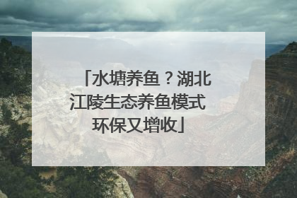 水塘养鱼？湖北江陵生态养鱼模式环保又增收