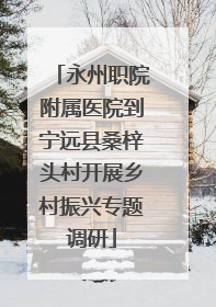 永州职院附属医院到宁远县桑梓头村开展乡村振兴专题调研