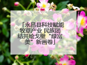 永昌县科技赋能牧草产业 民族团结共绘戈壁“绿富美”新画卷