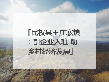 民权县王庄寨镇:引企业入驻 助乡村经济发展