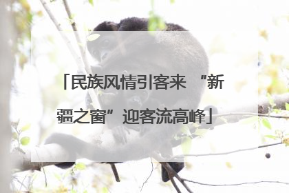 民族风情引客来 “新疆之窗”迎客流高峰