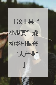 汶上县“小瓜蒌”撬动乡村振兴“大产业”