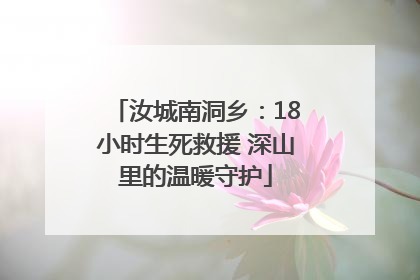 汝城南洞乡：18小时生死救援 深山里的温暖守护