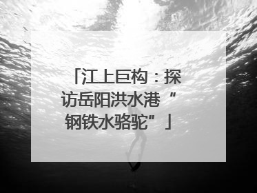 江上巨构：探访岳阳洪水港“钢铁水骆驼”