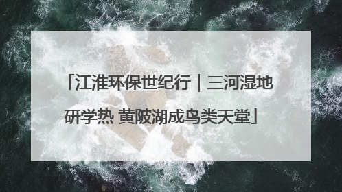 江淮环保世纪行｜三河湿地研学热 黄陂湖成鸟类天堂