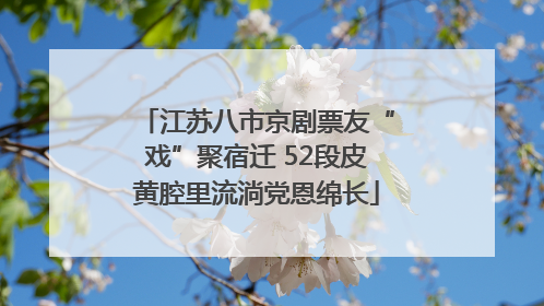 江苏八市京剧票友“戏”聚宿迁 52段皮黄腔里流淌党恩绵长