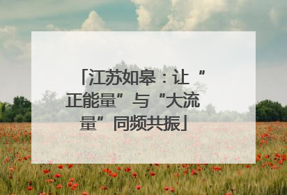 江苏如皋：让“正能量”与“大流量”同频共振