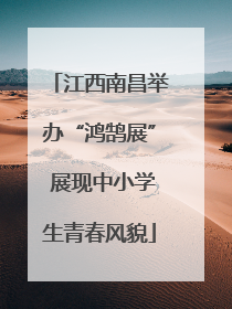 江西南昌举办“鸿鹄展” 展现中小学生青春风貌