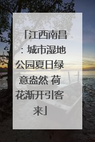 江西南昌：城市湿地公园夏日绿意盎然 荷花渐开引客来