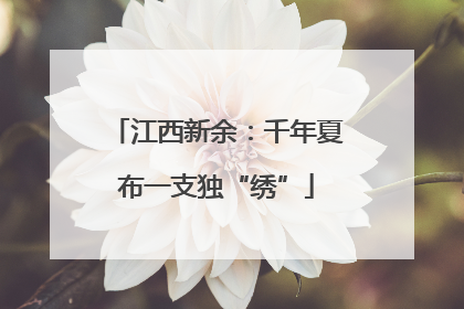 江西新余：千年夏布一支独“绣”
