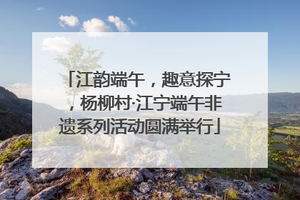 江韵端午，趣意探宁，杨柳村·江宁端午非遗系列活动圆满举行