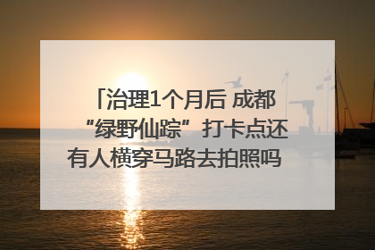 治理1个月后 成都“绿野仙踪”打卡点还有人横穿马路去拍照吗？｜民情瞭望