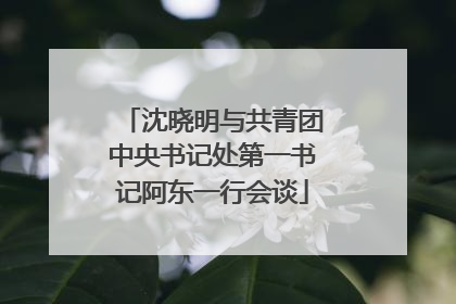 沈晓明与共青团中央书记处第一书记阿东一行会谈