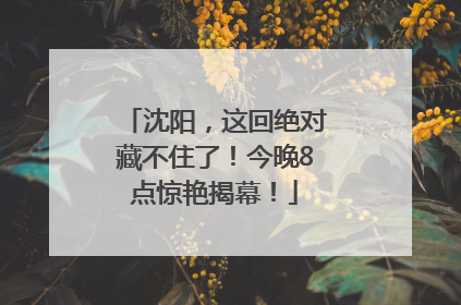 沈阳，这回绝对藏不住了！今晚8点惊艳揭幕！
