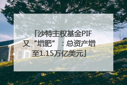 沙特主权基金PIF又“增肥”：总资产增至1.15万亿美元