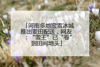 河南多地蜜雪冰城推出麦田配送，网友：“雪王”已“卷”到田间地头