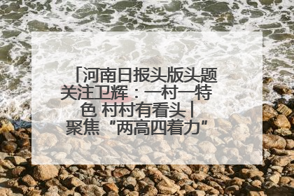 河南日报头版头题关注卫辉：一村一特色 村村有看头 ︳聚焦“两高四着力”·一“县”观察