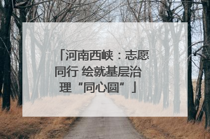 河南西峡：志愿同行 绘就基层治理“同心圆”