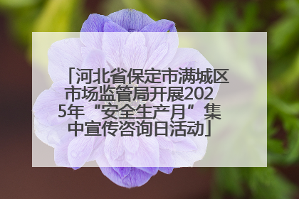 河北省保定市满城区市场监管局开展2025年“安全生产月”集中宣传咨询日活动