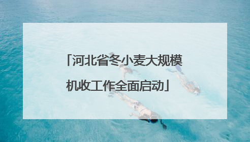 河北省冬小麦大规模机收工作全面启动