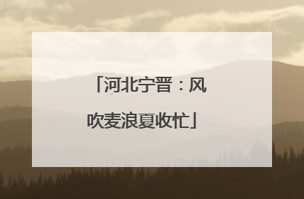 河北宁晋：风吹麦浪夏收忙