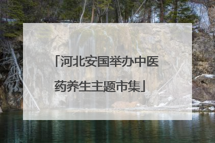 河北安国举办中医药养生主题市集