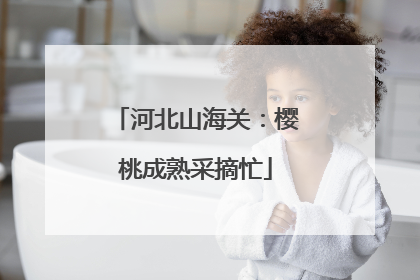 河北山海关：樱桃成熟采摘忙