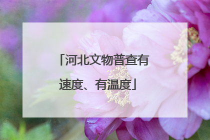 河北文物普查有速度、有温度