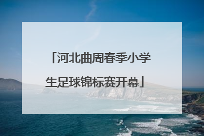 河北曲周春季小学生足球锦标赛开幕