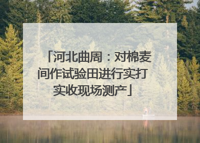河北曲周：对棉麦间作试验田进行实打实收现场测产