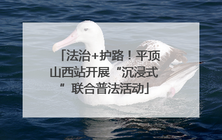 法治+护路！平顶山西站开展“沉浸式”联合普法活动