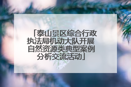 泰山景区综合行政执法局机动大队开展自然资源类典型案例分析交流活动
