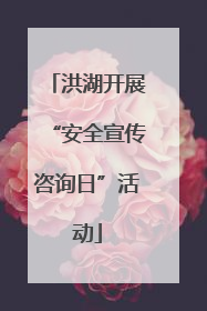 洪湖开展“安全宣传咨询日”活动