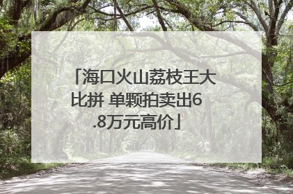 海口火山荔枝王大比拼 单颗拍卖出6.8万元高价