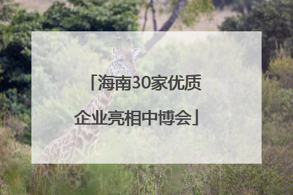 海南30家优质企业亮相中博会