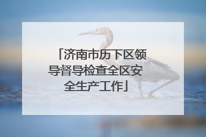 济南市历下区领导督导检查全区安全生产工作