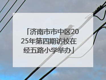 济南市市中区2025年第四期访校在经五路小学举办
