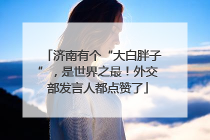 济南有个“大白胖子”，是世界之最！外交部发言人都点赞了