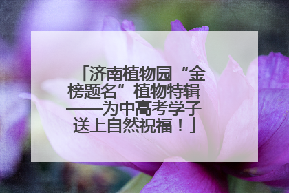 济南植物园“金榜题名”植物特辑——为中高考学子送上自然祝福！