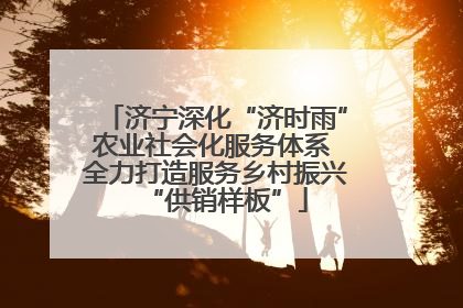 济宁深化“济时雨”农业社会化服务体系 全力打造服务乡村振兴“供销样板”