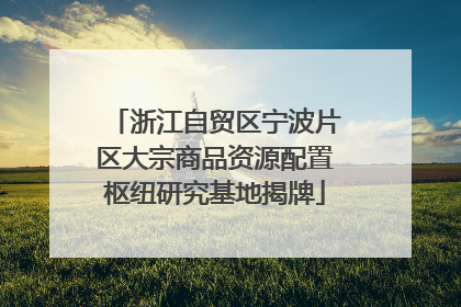 浙江自贸区宁波片区大宗商品资源配置枢纽研究基地揭牌