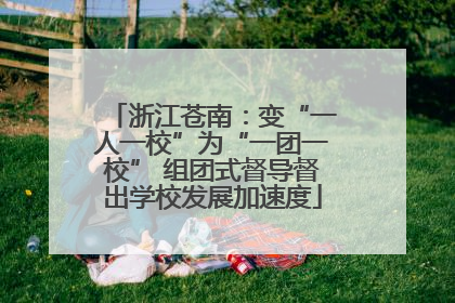 浙江苍南：变“一人一校”为“一团一校” 组团式督导督出学校发展加速度