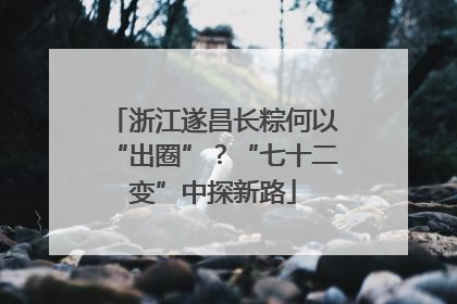 浙江遂昌长粽何以“出圈”？“七十二变”中探新路